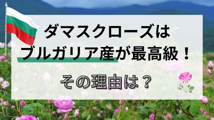 ダマスクローズはブルガリア産が最高級な理由