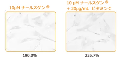 ナールスゲンとビタミンCのコラーゲン増加量