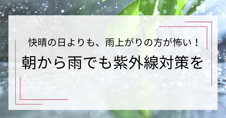 雨が降っている様子