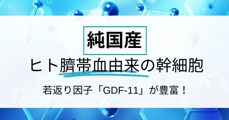 純国産のヒト臍帯血由来の幹細胞