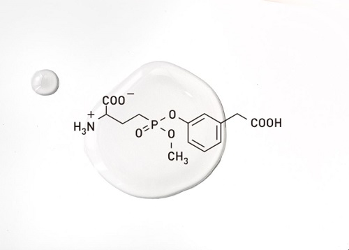 ナールスゲンのイメージ